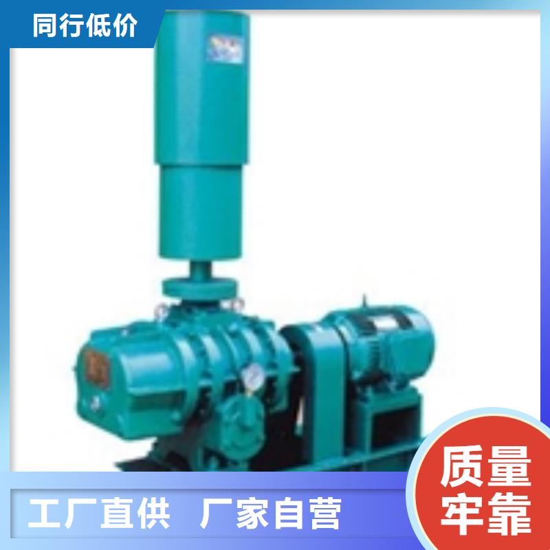 山東臨風(fēng)科技股份有限公司L系列羅茨風(fēng)機(jī)LFSR250