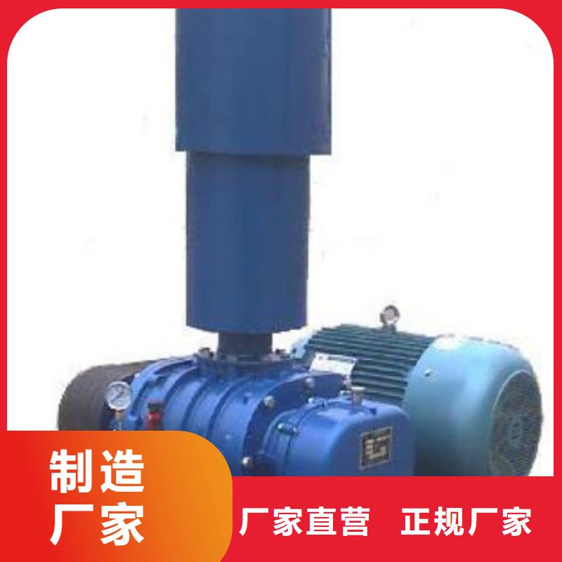 2025三葉羅茨鼓風(fēng)機(jī)LFSR300