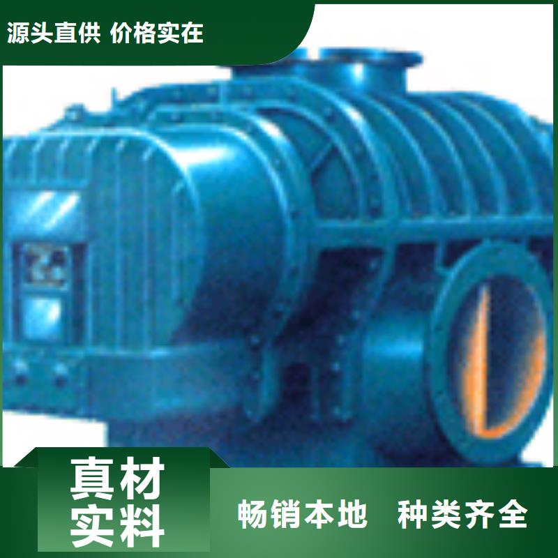 山東臨風科技股份有限公司羅茨鼓風機LFSR65