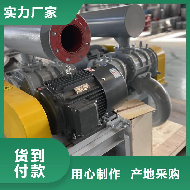 2025洗煤專用羅茨風機LFSR125