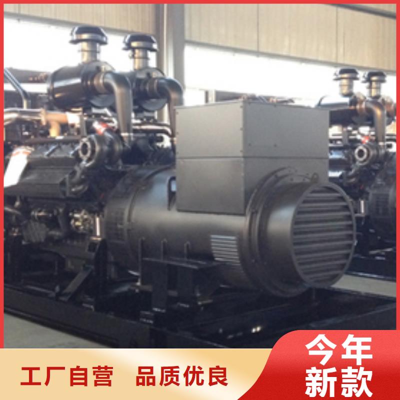 大型發(fā)電機(jī)租賃國(guó)產(chǎn)大品牌服務(wù)