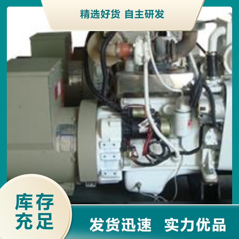 進口品牌500千瓦發電機