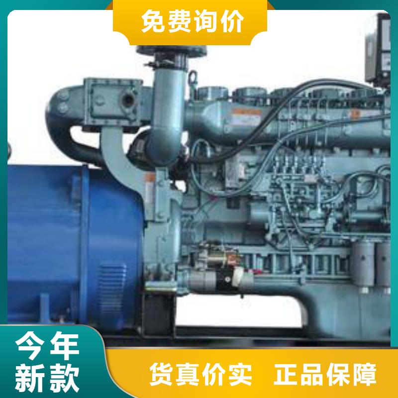 特殊高壓發(fā)電機(jī)租賃應(yīng)急服務(wù)多樣