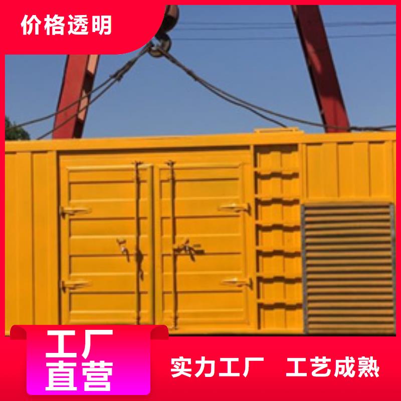 應急保障發電機進口品牌