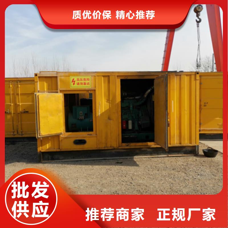 國產柴油發電機租賃服務到位