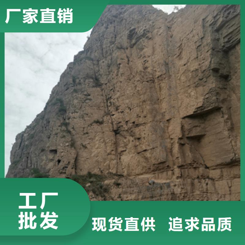 會議專用柴油發(fā)電機租賃本地自主