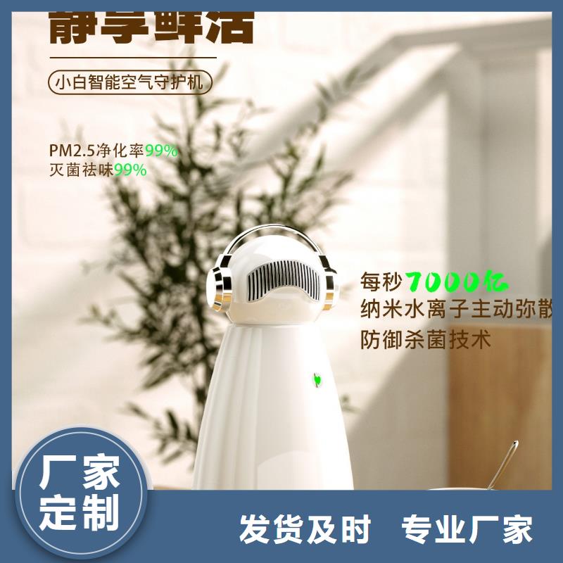 空氣凈化器小白祛味王現貨批發服務始終如一