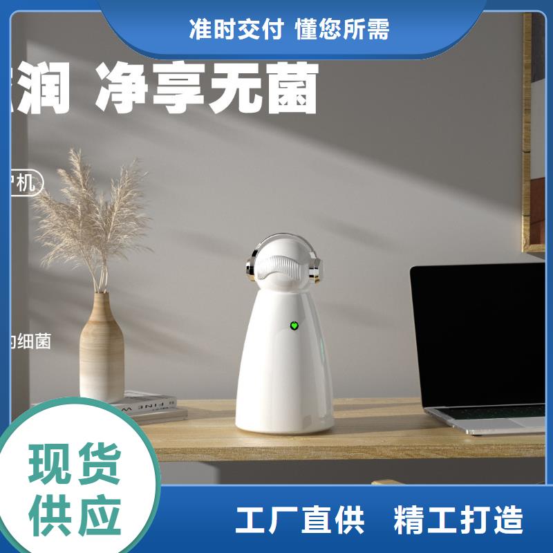 空氣凈化器小白祛味王現貨批發服務始終如一