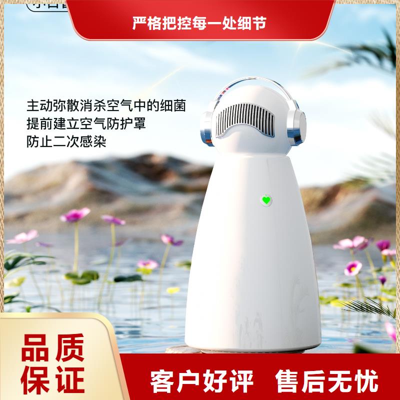 【深圳】室內呼吸用什么效果好小白祛味王