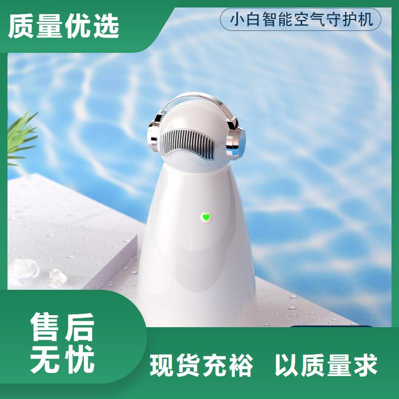 【深圳】多寵家庭必備生產廠家小白祛味王