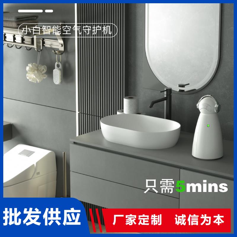 【深圳】艾森智控負(fù)離子森林氧吧怎么做代理空氣守護(hù)