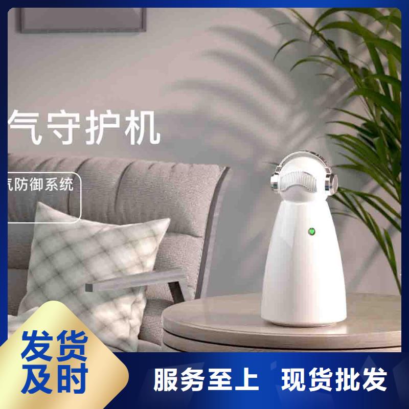 小白孕婦空氣守護(hù)機(jī)_無臭養(yǎng)寵專業(yè)供貨品質(zhì)管控