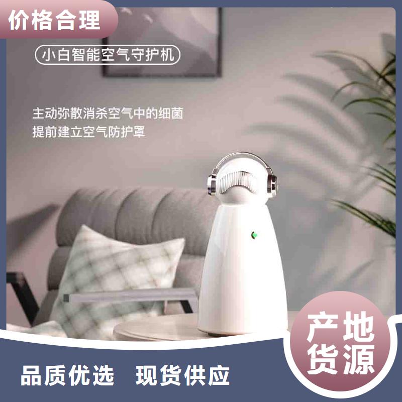 小白孕妇空气守护机销售小白祛味王本地配送