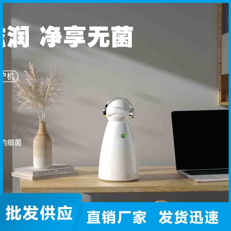 【小白孕婦空氣守護機,【車載空氣凈化器】精工細致打造】