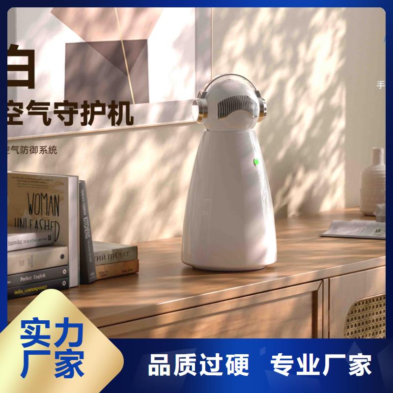 【小白孕婦空氣守護機,【車載空氣凈化器】精工細致打造】