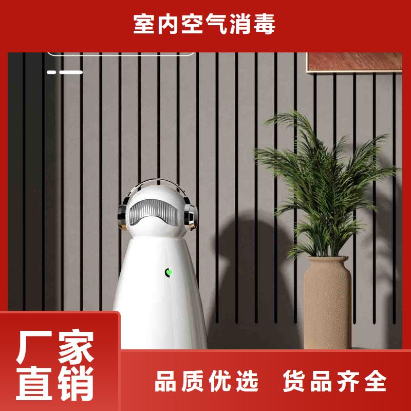 小白嬰兒空氣守護機,車載空氣凈化器廠家多年行業經驗