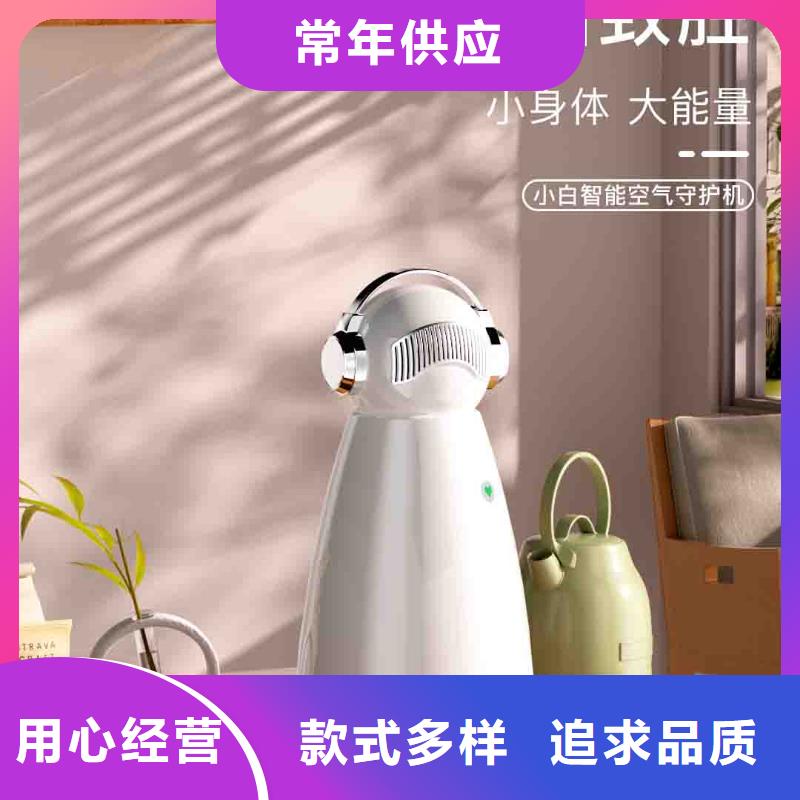 【小白嬰兒空氣守護(hù)機(jī)車載空氣凈化器生產(chǎn)廠家現(xiàn)貨交易】