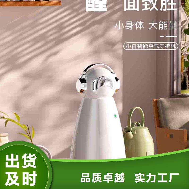 小白空氣守護機-車載空氣凈化器生產廠家價格公道合理
