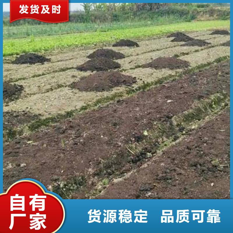 干鸡粪有卖的吗