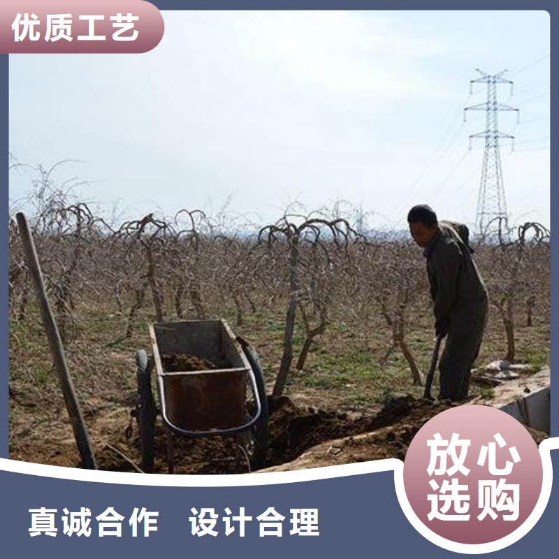 三沙市肥水鸡粪用法你知道吗