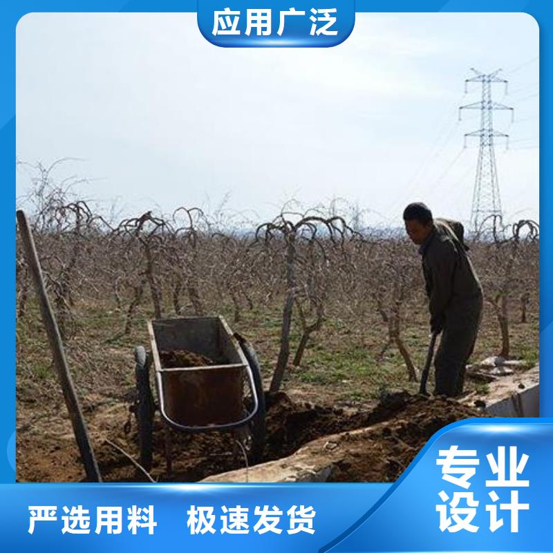 干雞糞塊菜農必看
