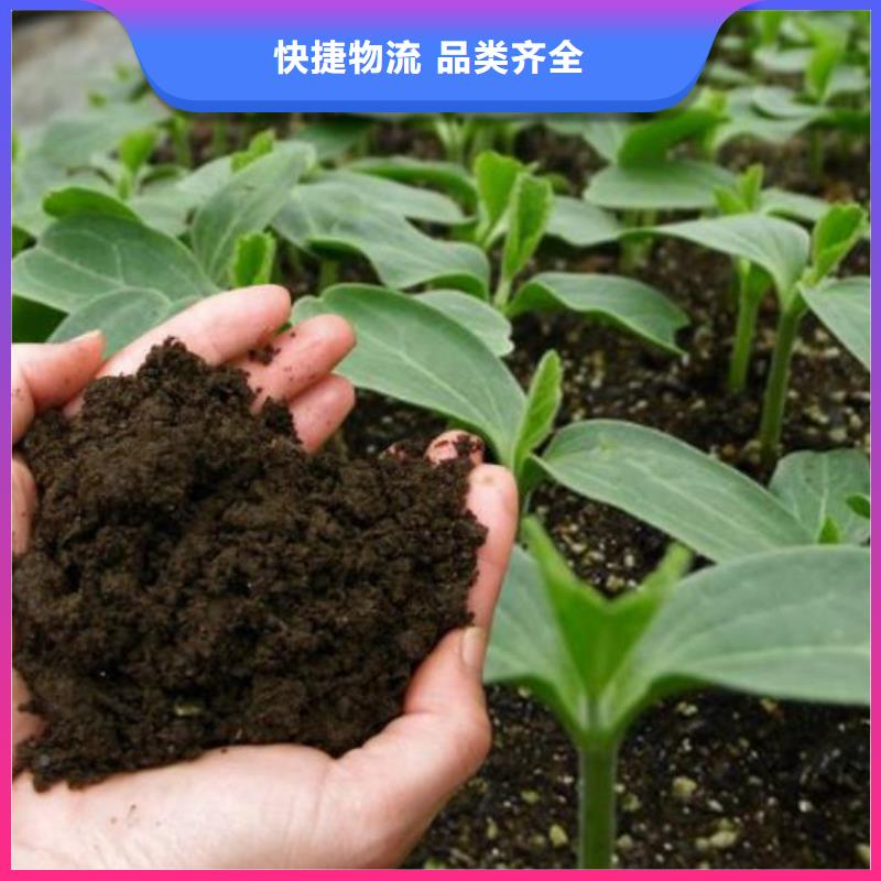 雞糞發酵羊糞廠家技術完善