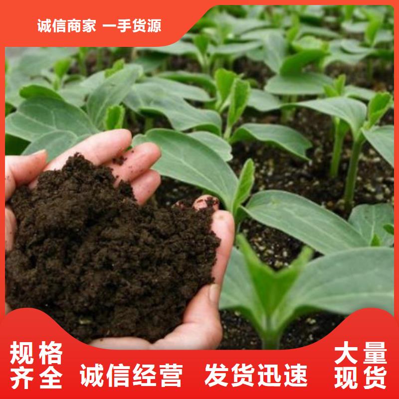 雞糞有機(jī)肥土壤養(yǎng)分