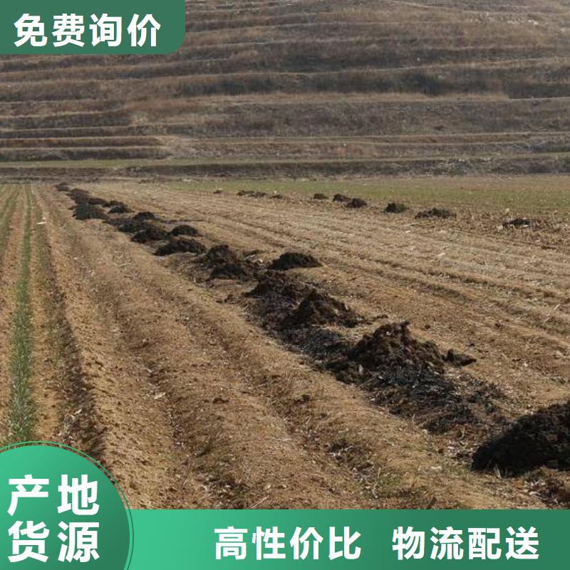 深圳市石巖街道干雞糞松軟土壤