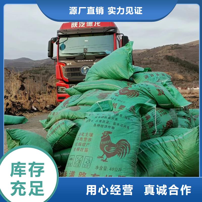 發(fā)酵雞糞助力有機(jī)蔬菜種植