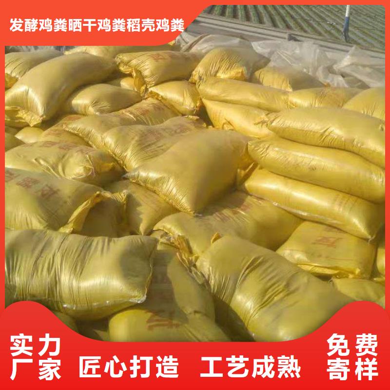 發(fā)酵羊糞讓西紅柿提早上市