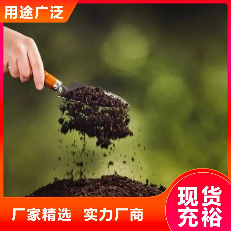 濱州鄒平沾化羊糞首頁