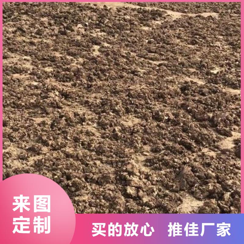 發酵雞糞土壤肥力