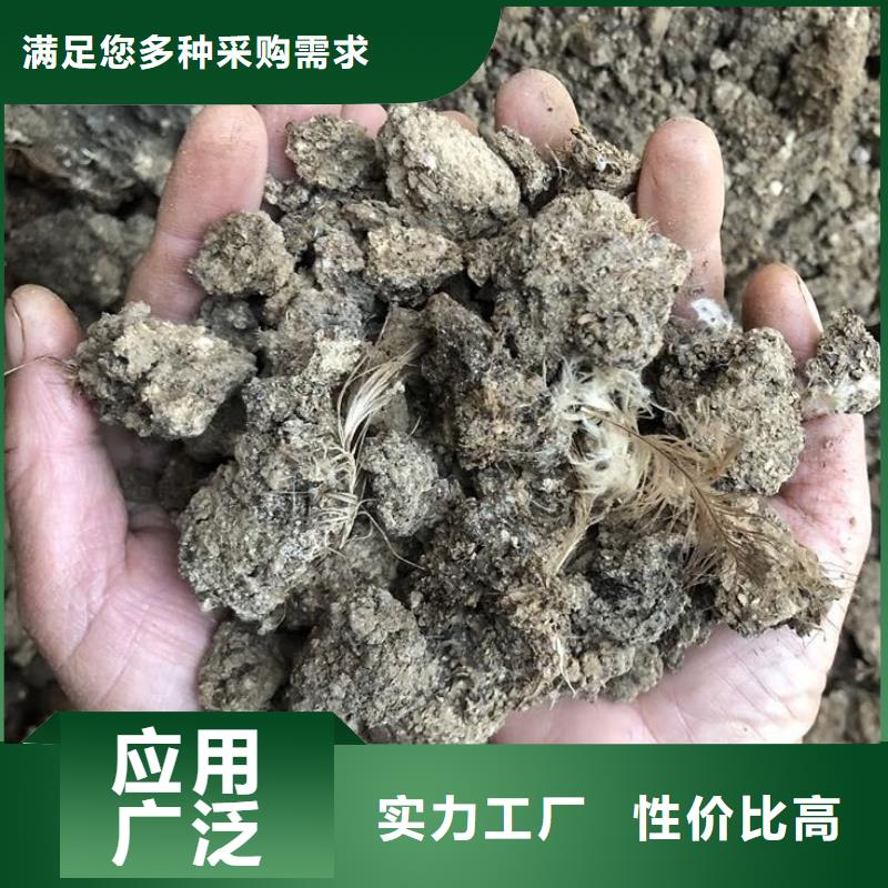 發酵雞糞用量