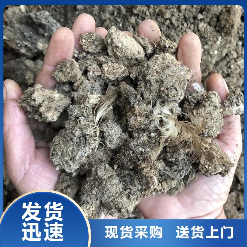 雞糞發酵羊糞廠家技術完善