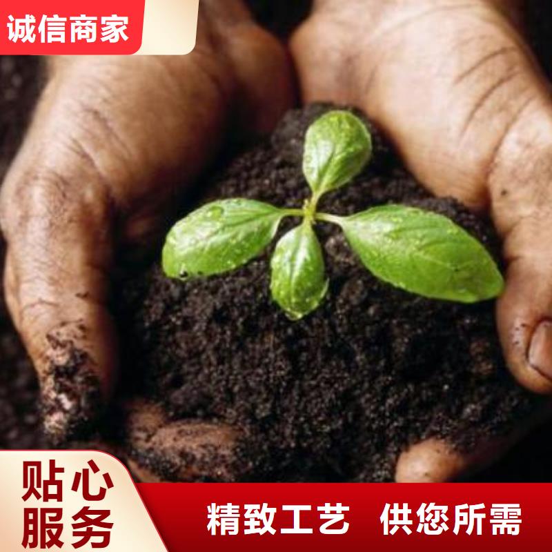 曬干雞糞農民推選