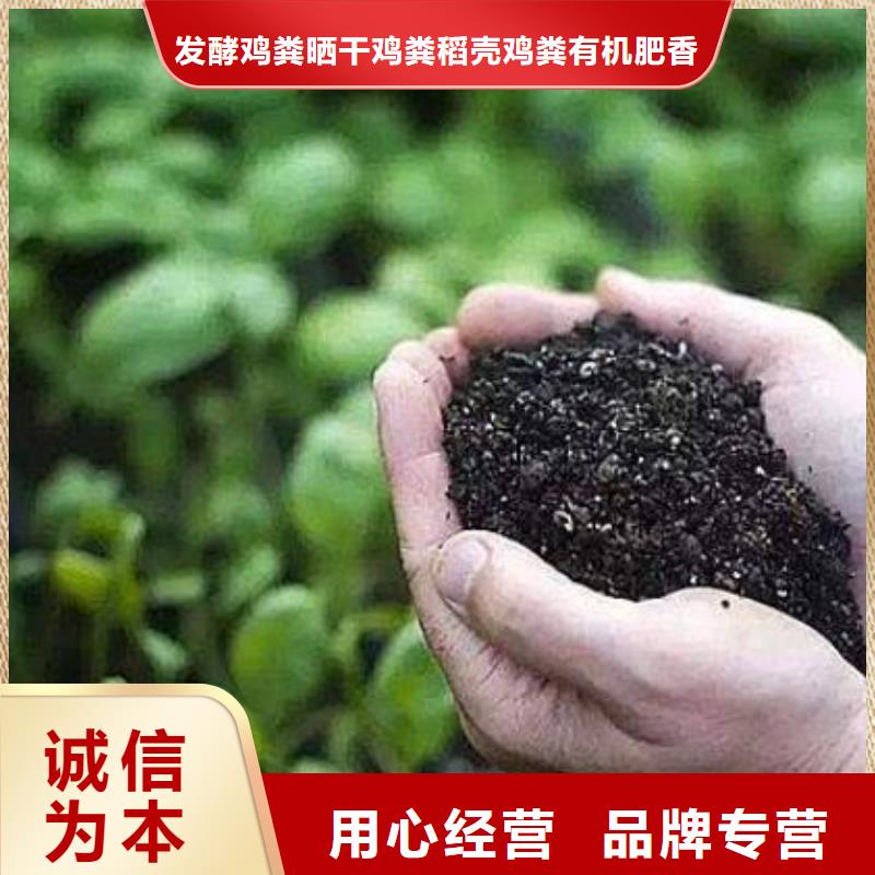 賈汪發酵雞糞適合大型農田施肥