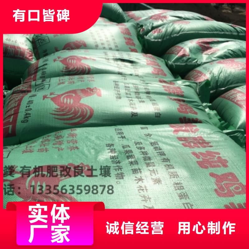 雞糞促進秧苗光合作用