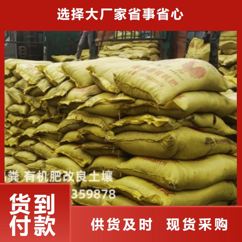 雞糞曬干雞糞多種工藝