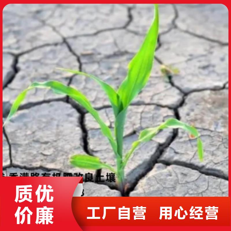 曬干雞糞有機質(zhì)含量高