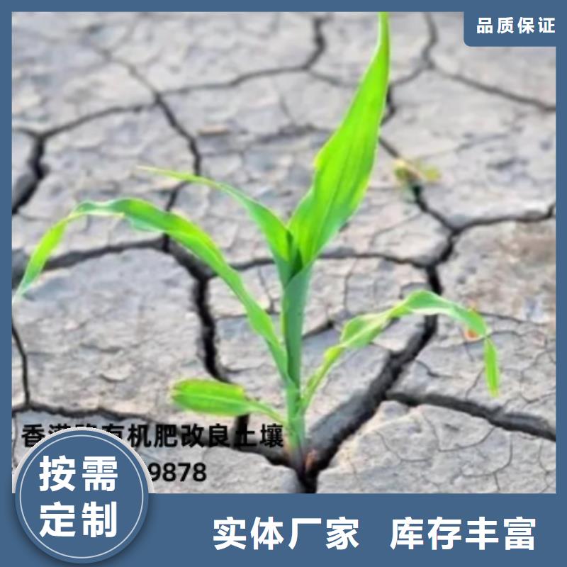 肥水雞糞增施能豐收