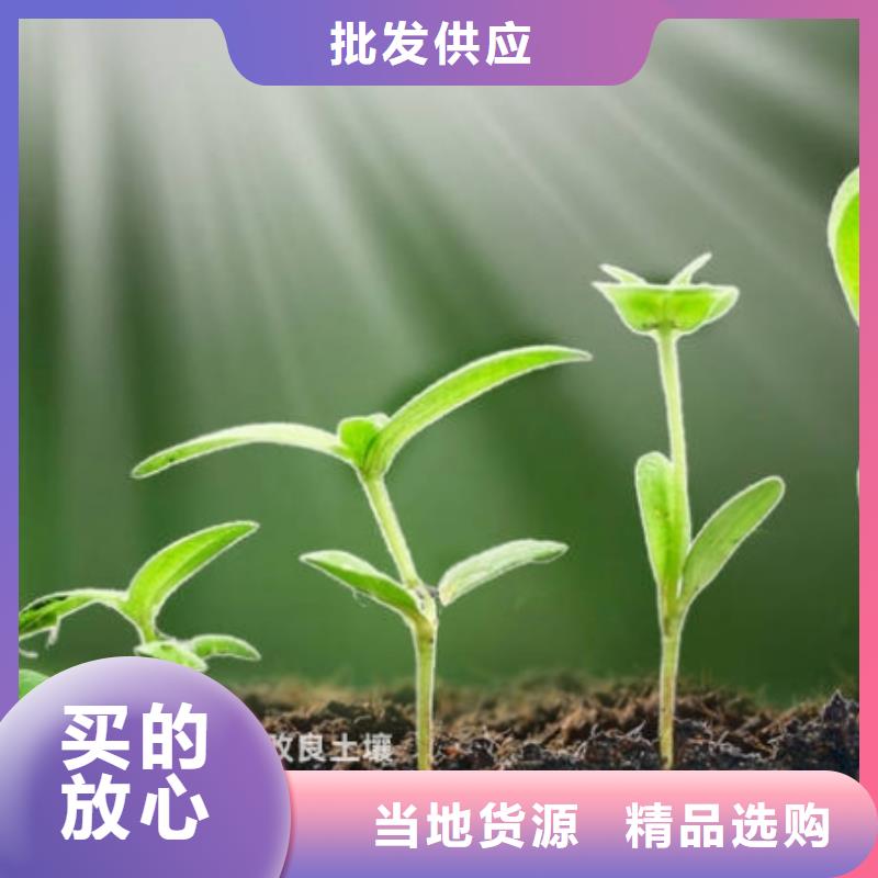 山東淄博沂源發酵雞糞用肥技術指導