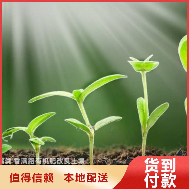 有机肥植树造林离不了