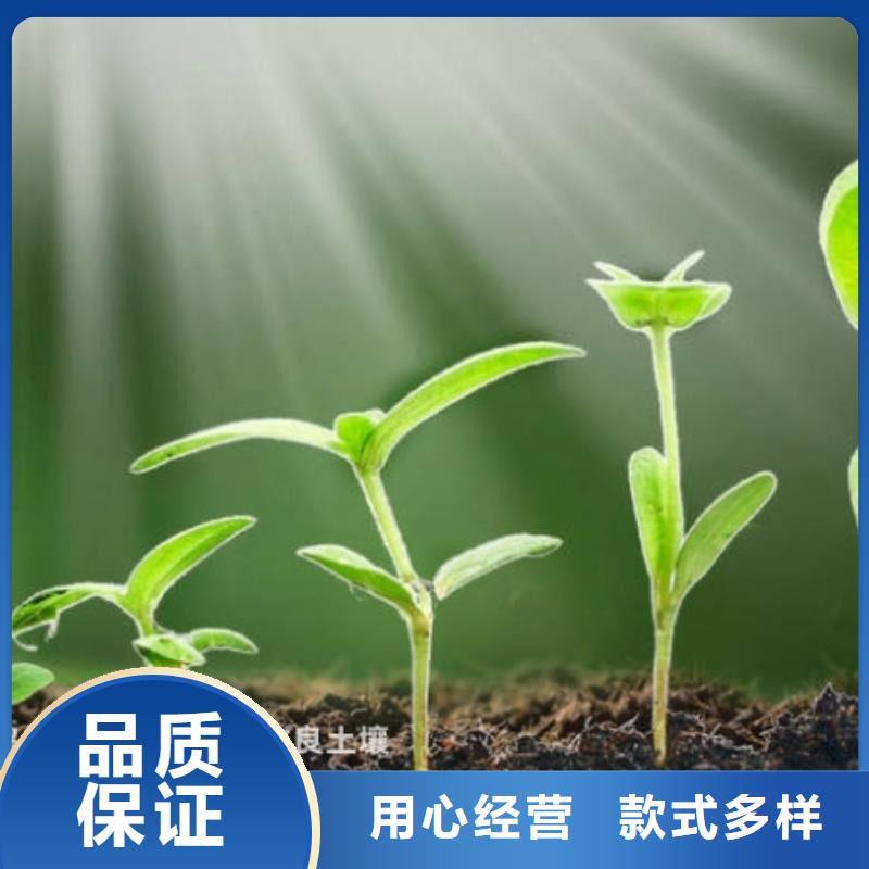 发酵羊粪打造绿色生物