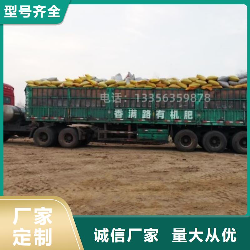 曬干雞糞培肥地力