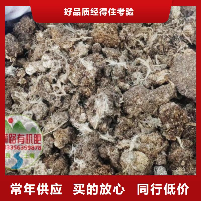 詔安羊糞有機肥廠家