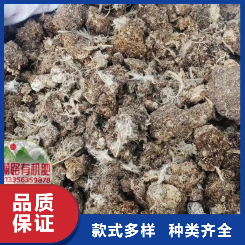 干鸡粪制造过程