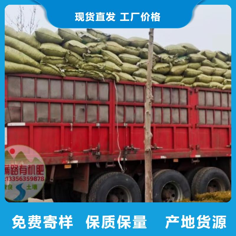 贛榆雞屎糞根系發(fā)達