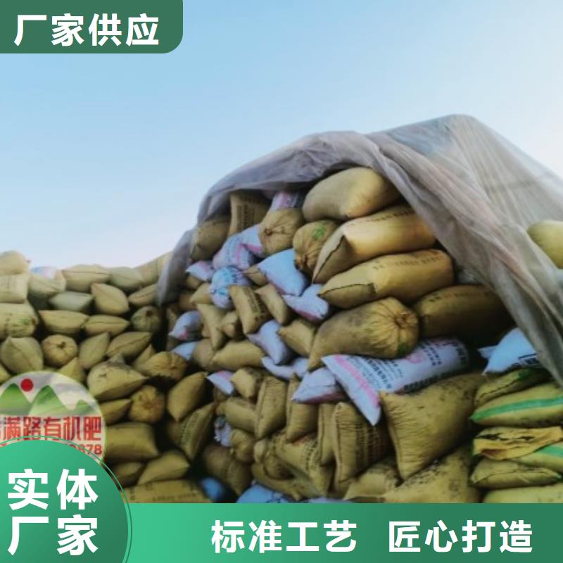 雞糞促進秧苗光合作用