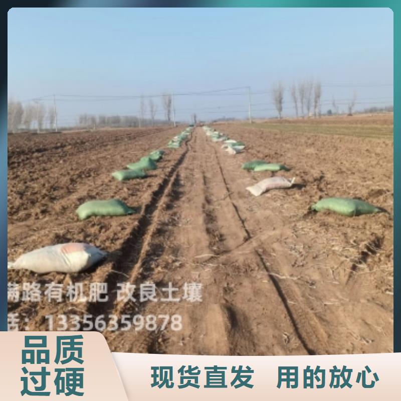 發(fā)酵羊糞供應電話