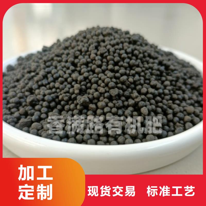 發酵羊糞讓西紅柿提早上市